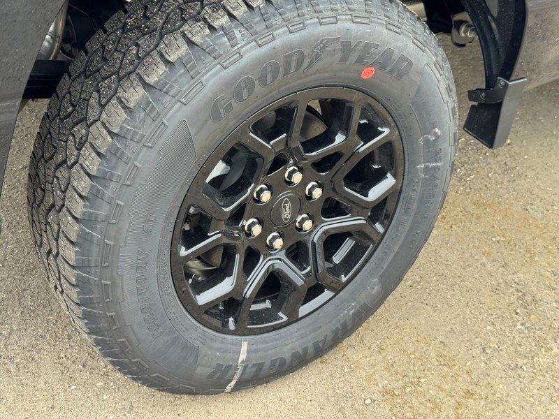 New 2026 Ford F150 XLT w/ Equipment Group 302A MID image 5