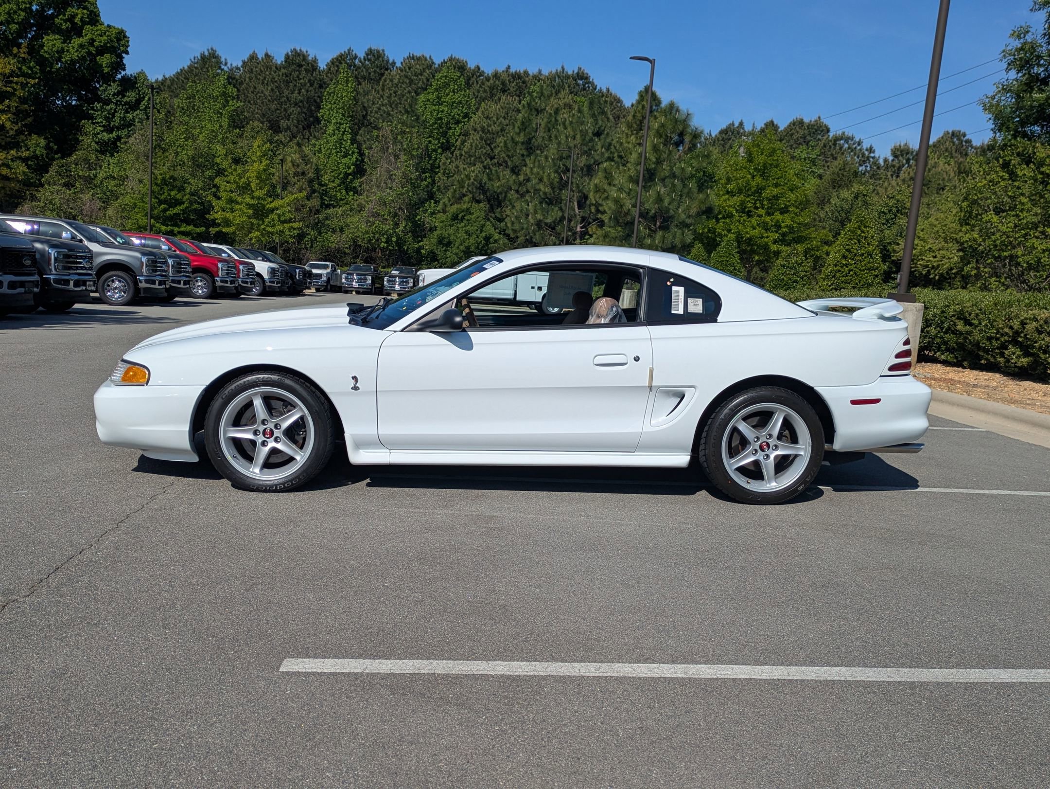 Used 1995 Ford Mustang Cobra R image 7