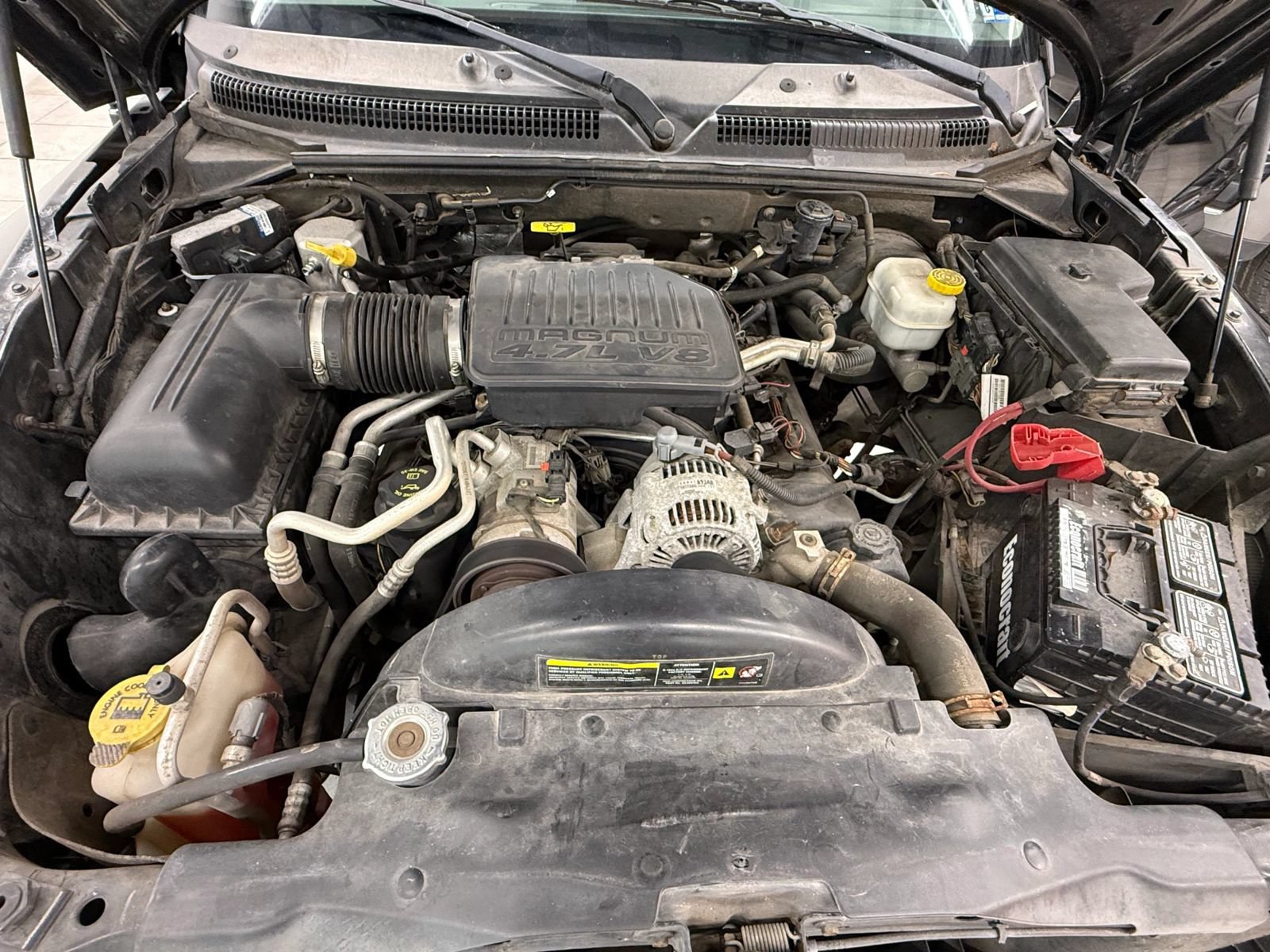 Used 2005 Dodge Dakota ST RWD image 37