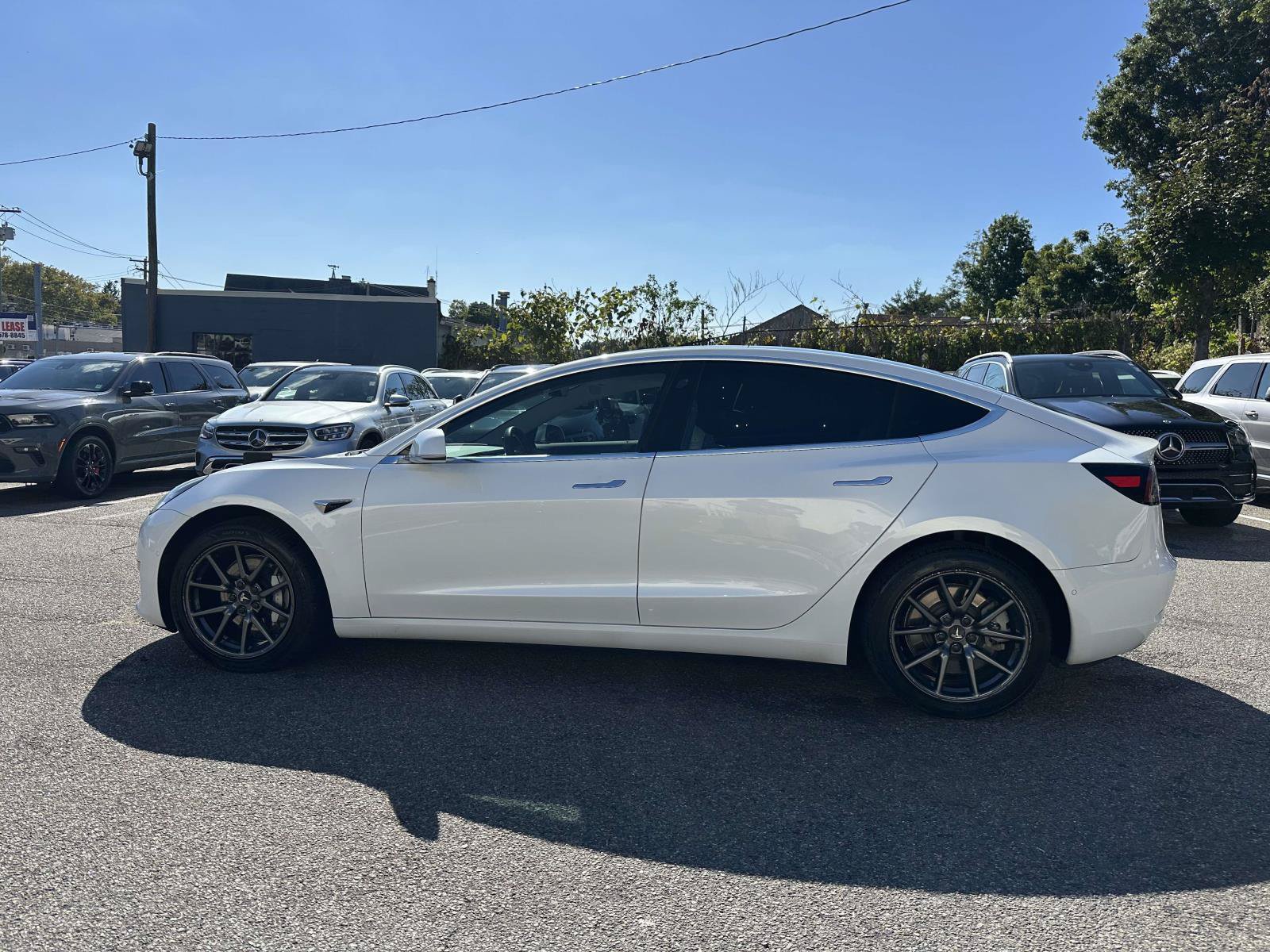 Used 2019 Tesla Model 3 Standard Range RWD image 6