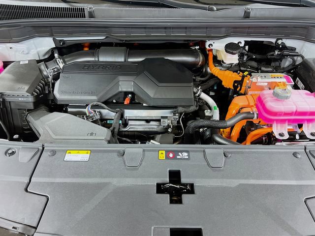 New 2026 Kia Carnival SX Prestige image 33