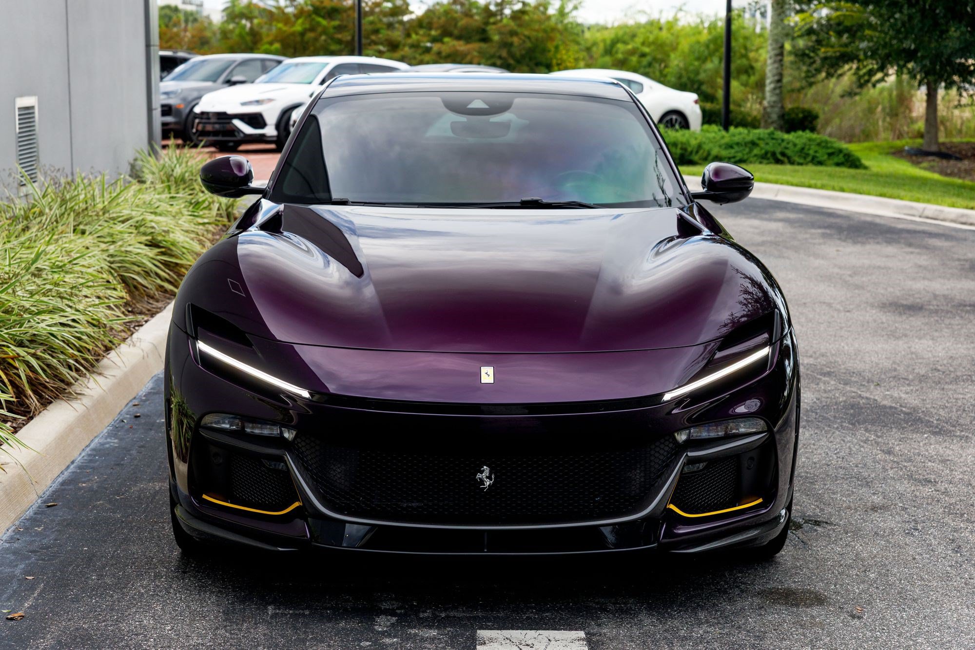 Used 2024 Ferrari Purosangue AWD/4WD image 8