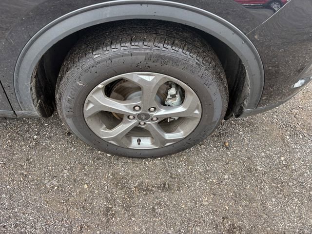 Used 2025 Ford Escape ST-Line w/ Tech Pack #1 image 20