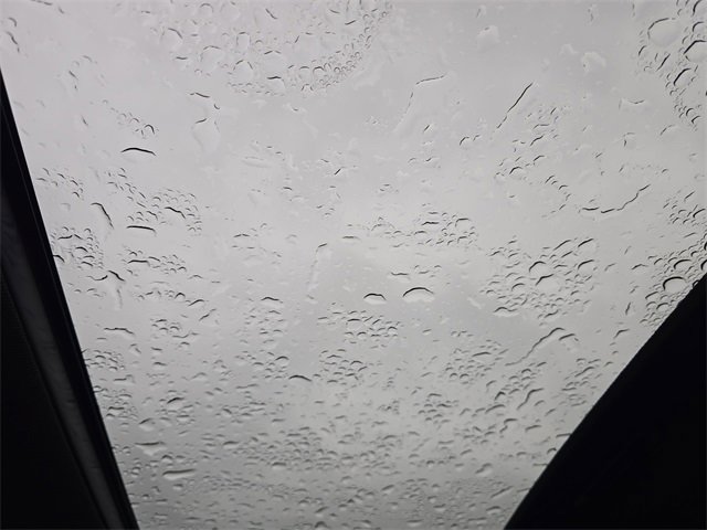 New 2026 Hyundai Palisade XRT Pro image 21