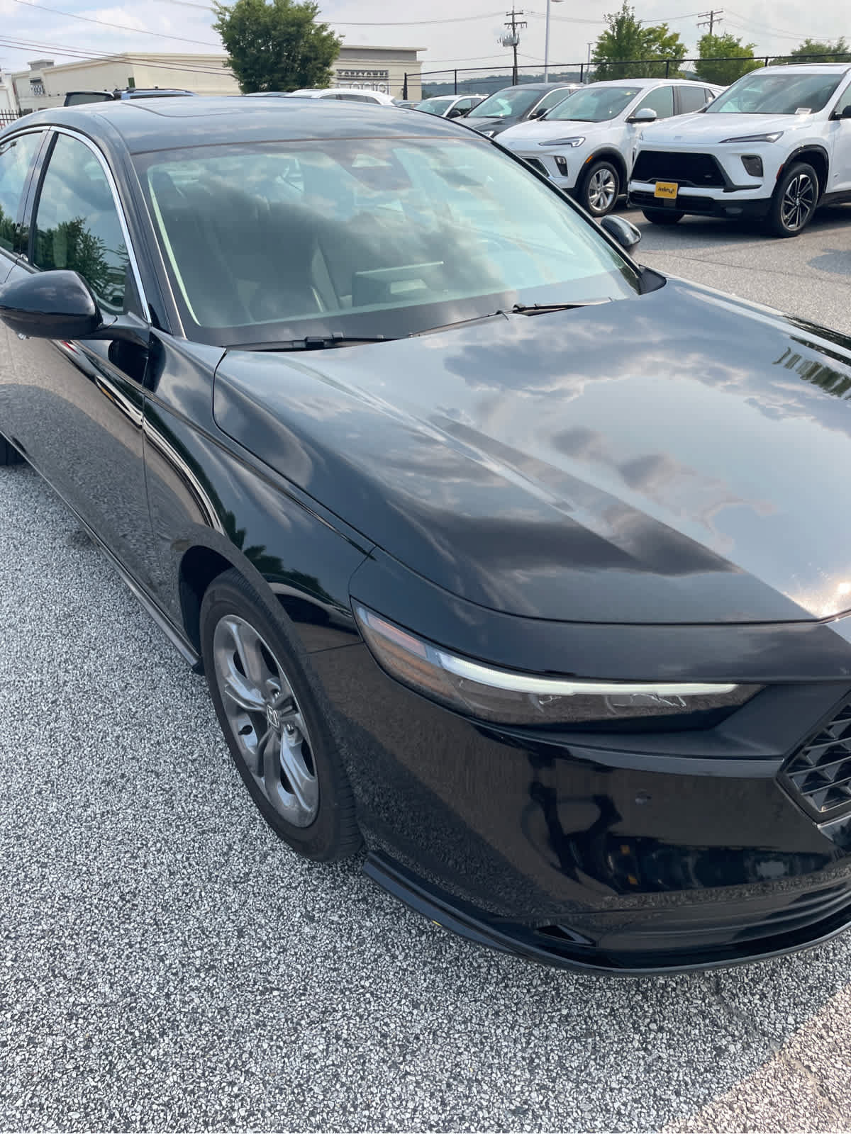 Used 2023 Honda Accord EX-L image 12