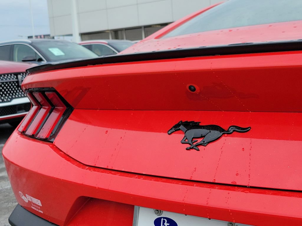 New 2026 Ford Mustang EcoBoost image 10