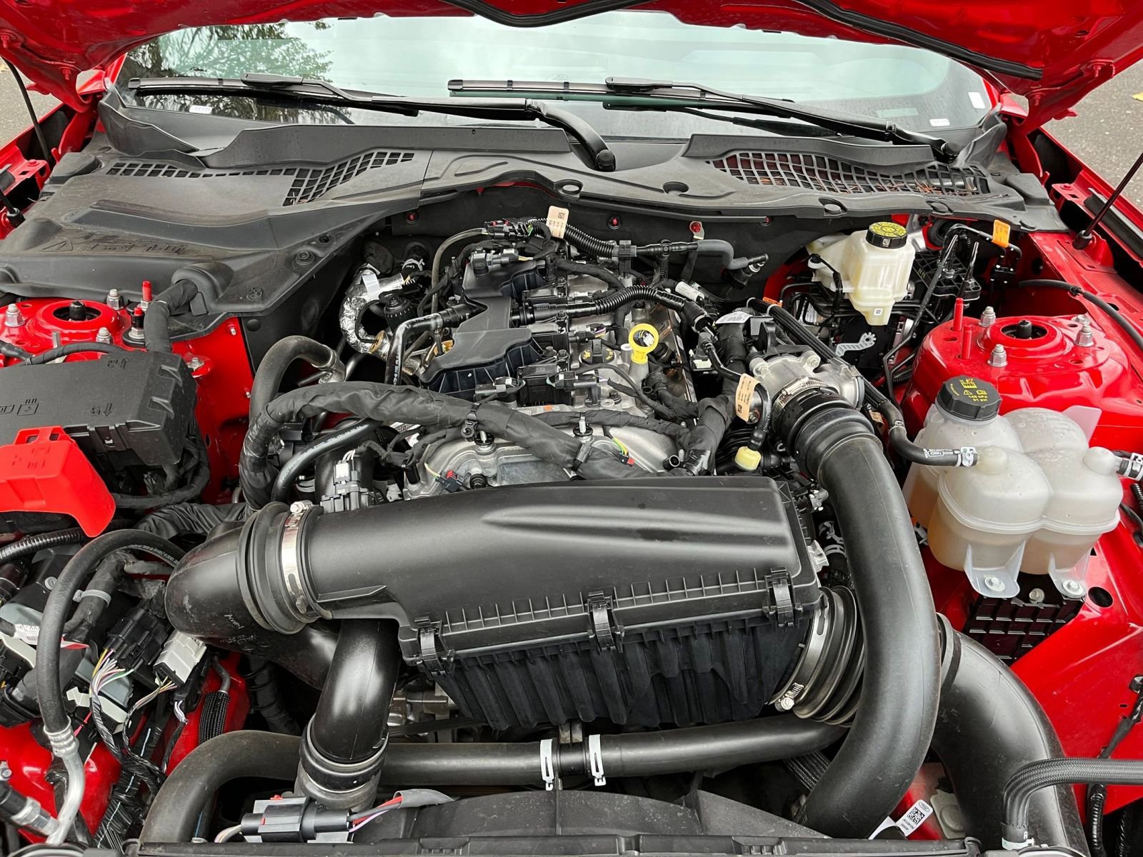 Used 2024 Ford Mustang Premium image 31