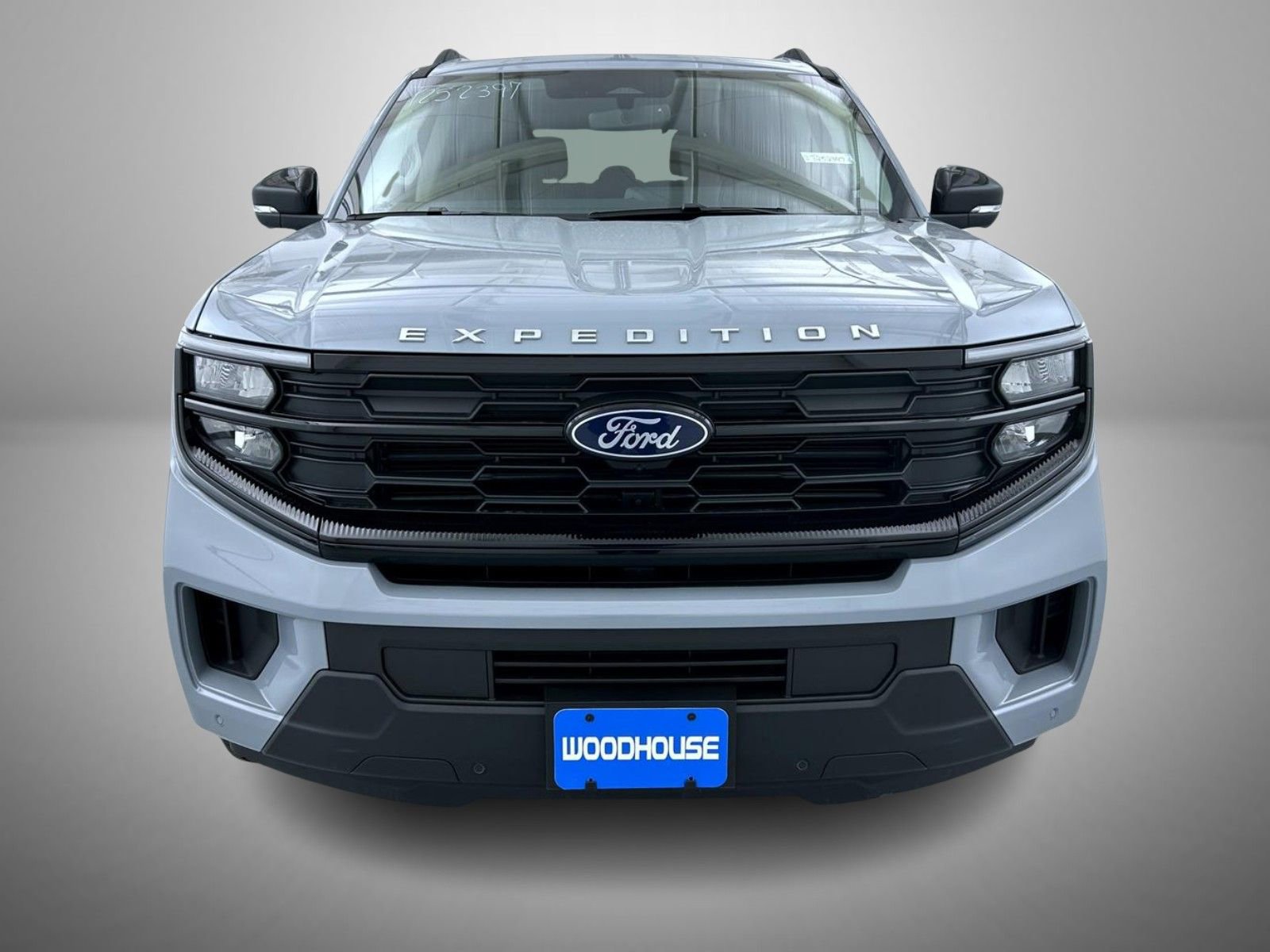 New 2025 Ford Expedition Active image 2