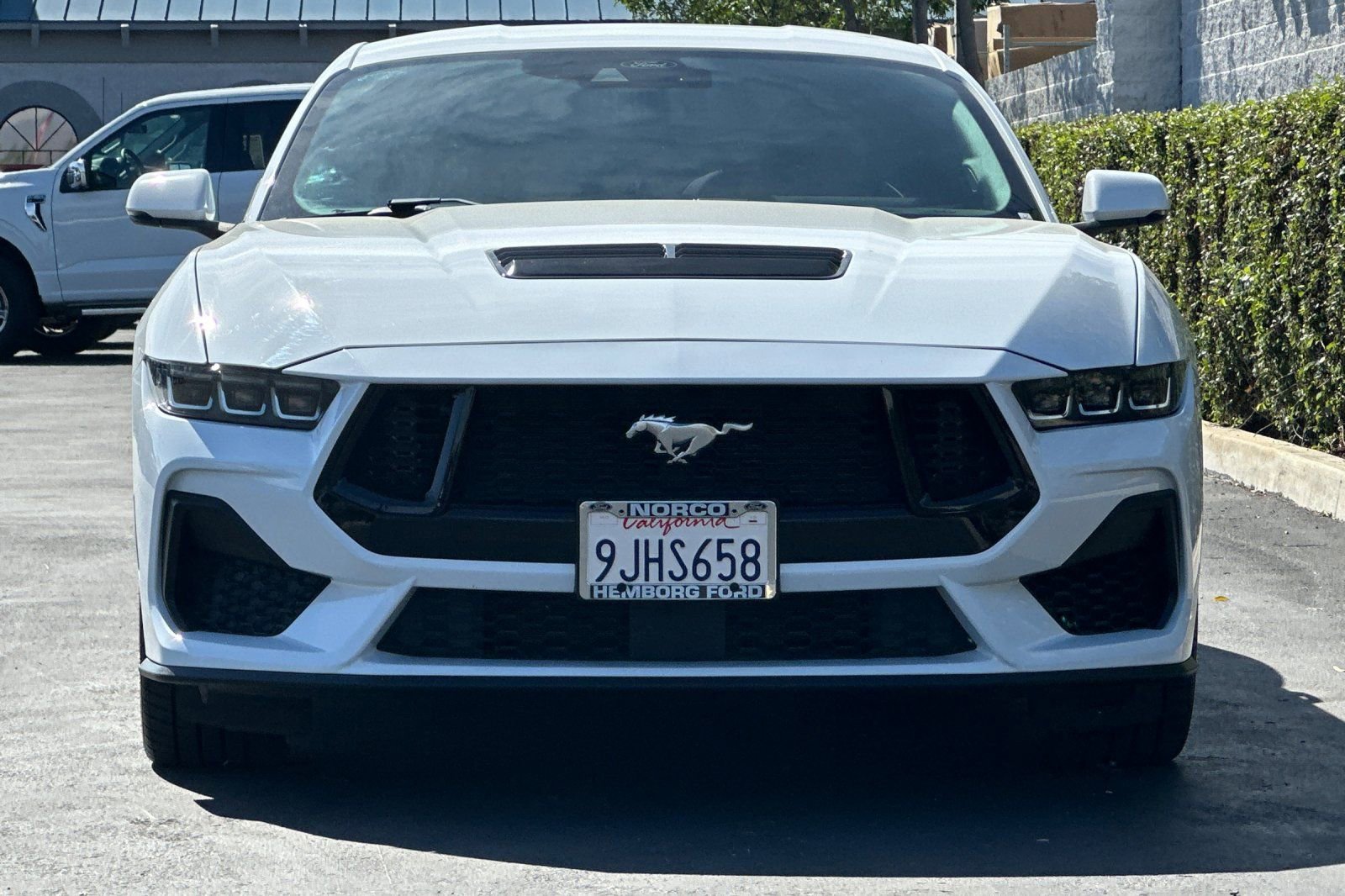 Used 2024 Ford Mustang GT Premium image 9