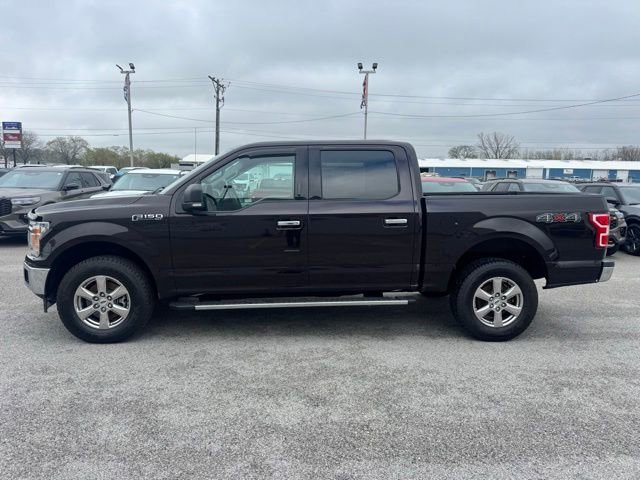 Used 2019 Ford F150 XLT w/ Equipment Group 302A Luxury AWD/4WD image 2