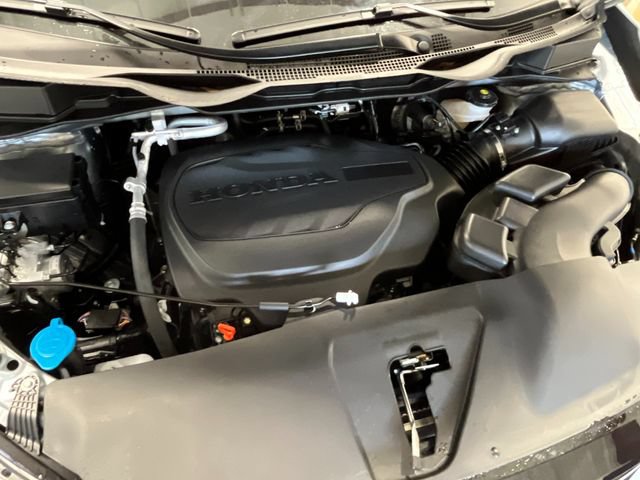 New 2026 Honda Odyssey Elite image 12