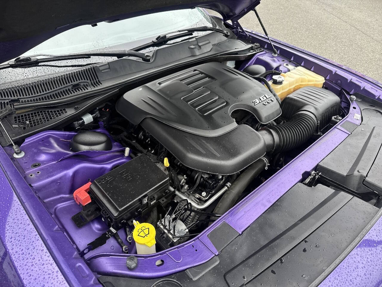 Used 2019 Dodge Challenger SXT w/ Blacktop Package RWD image 15