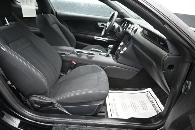 Used 2019 Ford Mustang Coupe RWD image 6