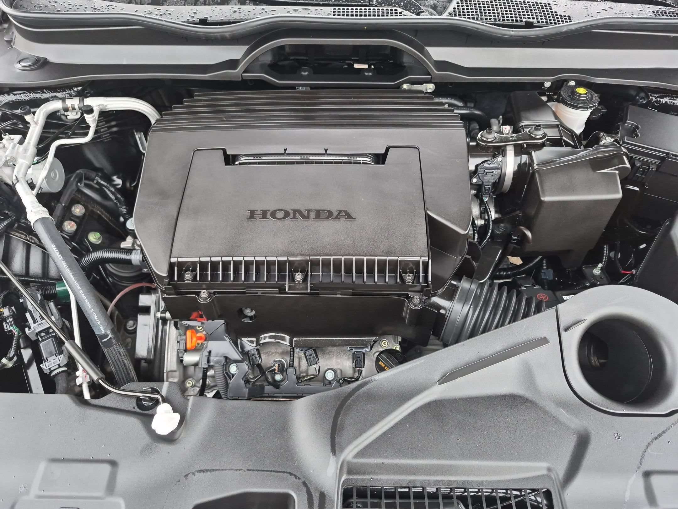Certified 2025 Honda Pilot EX-L image 32