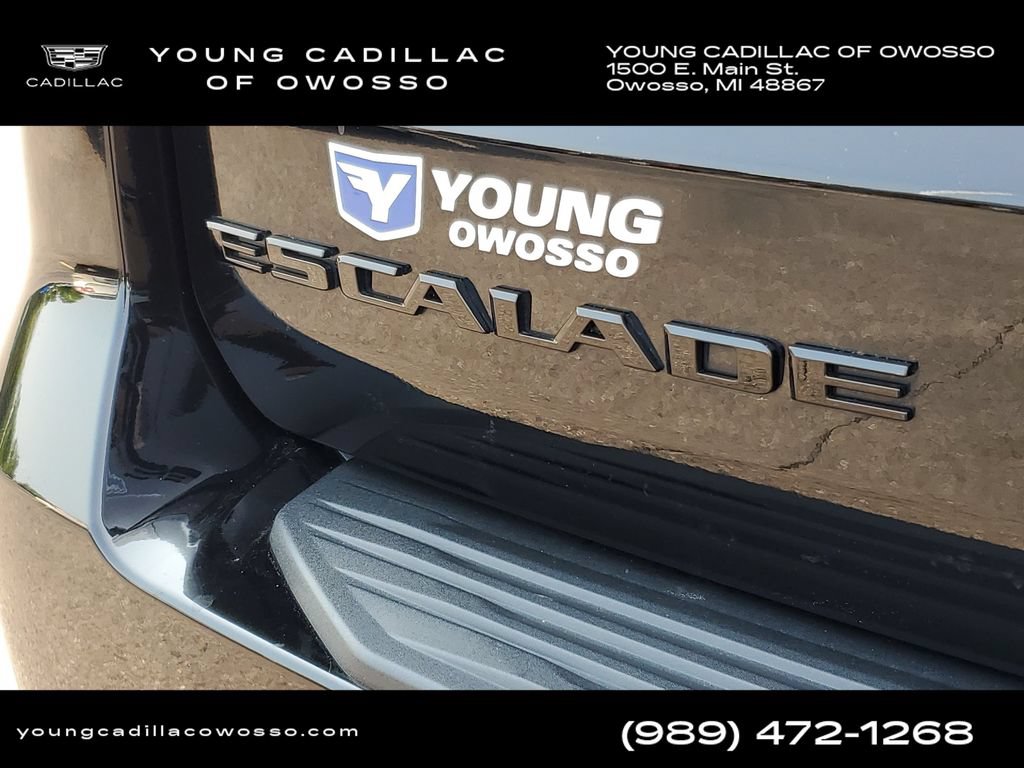 Used 2023 Cadillac Escalade ESV Sport Platinum w/ LPO, ONYX Package AWD/4WD image 37