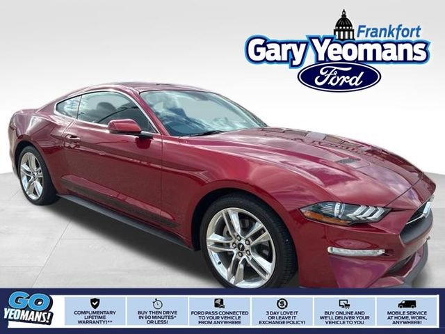 Used 2018 Ford Mustang Premium w/ Equipment Group 201A image 1