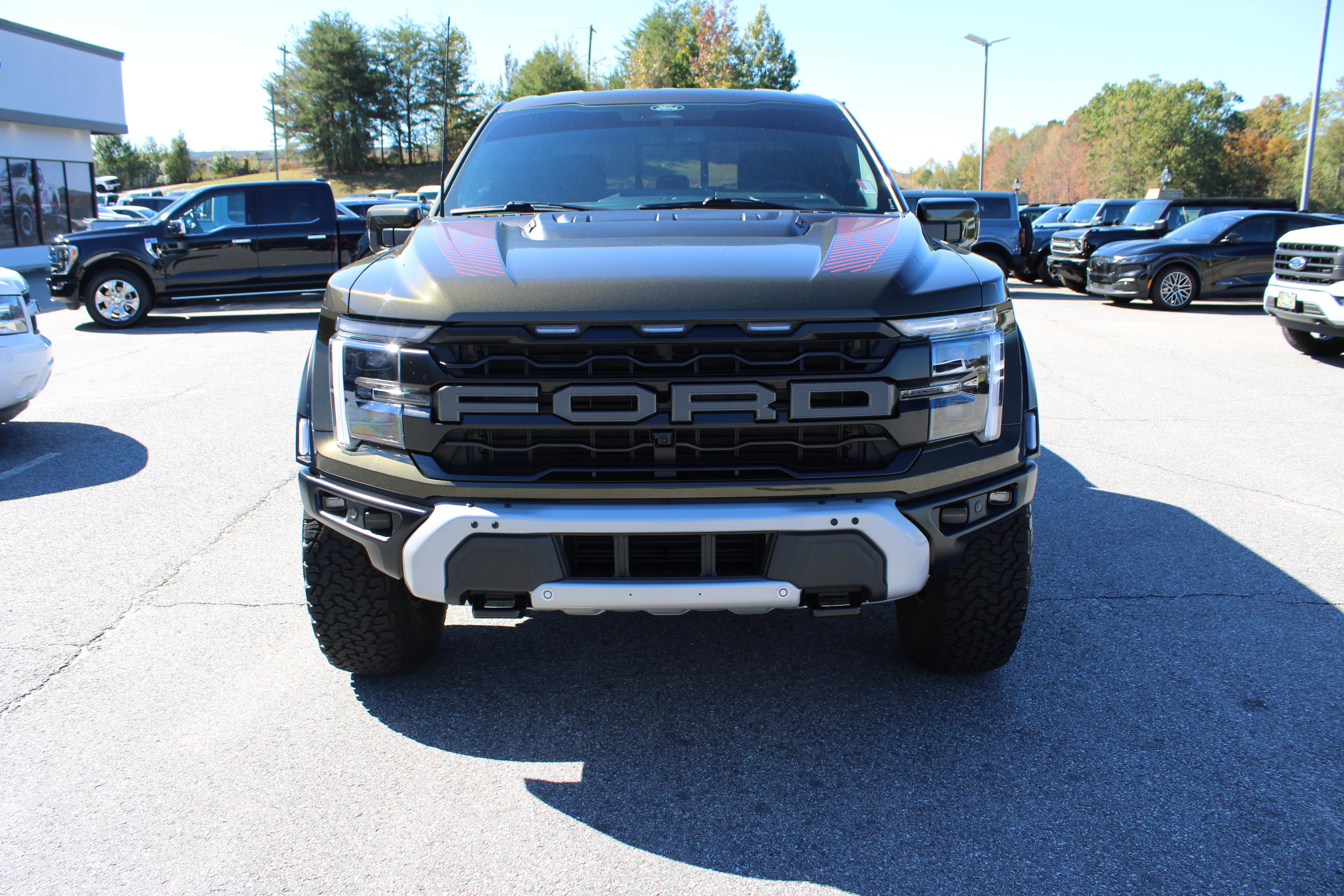 Used 2025 Ford F150 Raptor AWD/4WD image 3