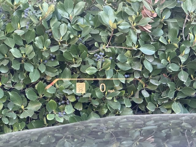 Used 2023 BMW 230i Coupe image 21