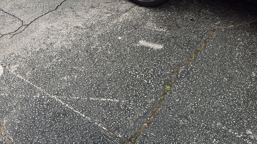 Used 2024 Land Rover Range Rover Velar Dynamic SE image 2