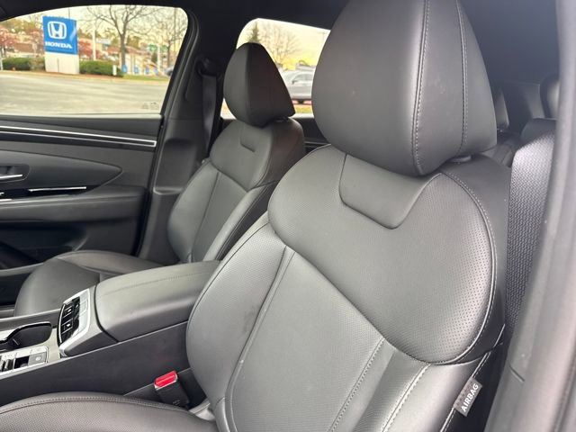 Certified 2024 Hyundai Tucson XRT image 12