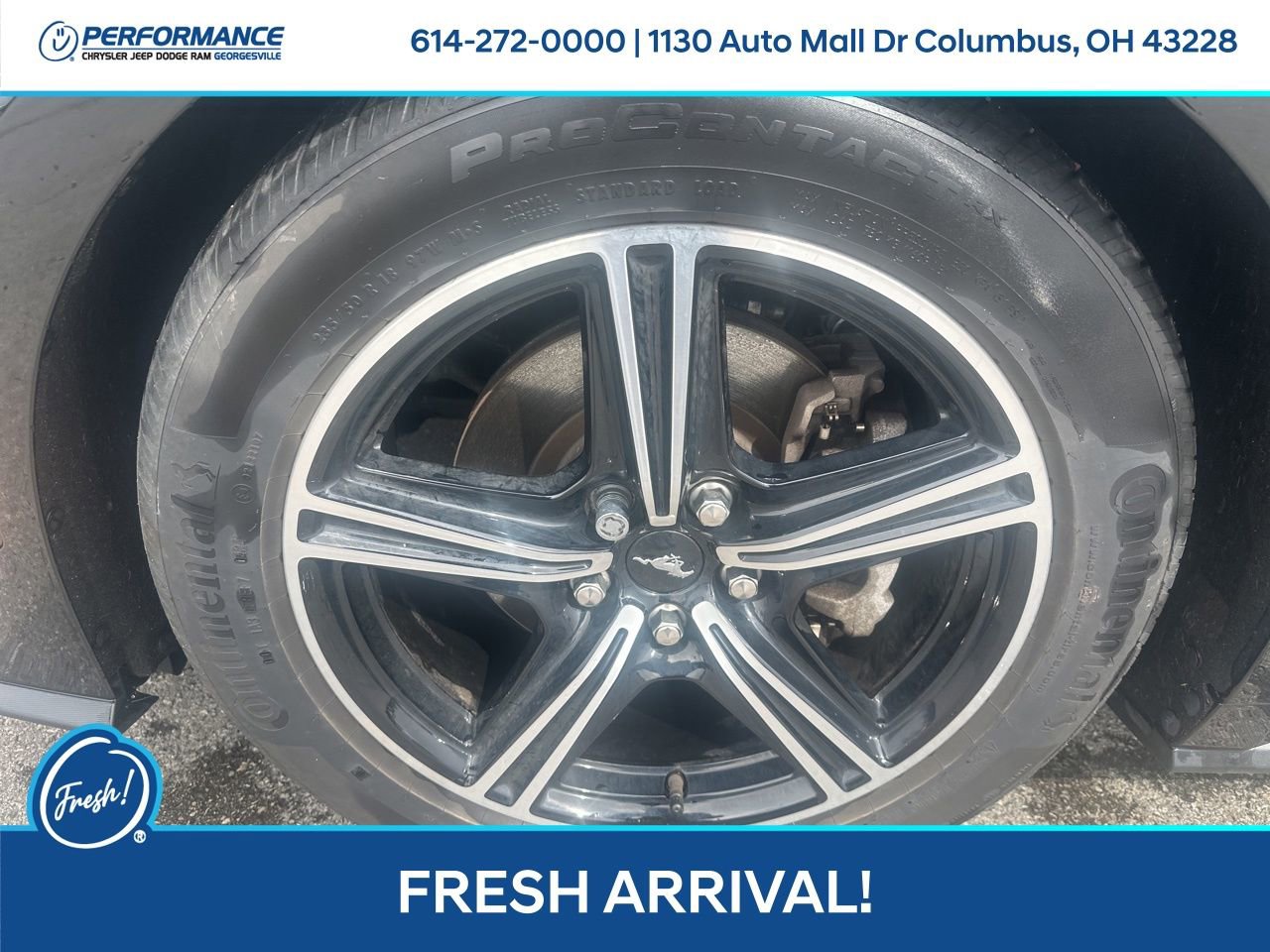 Used 2024 Ford Mustang Premium image 10