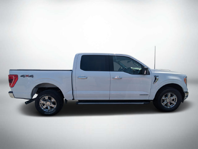 Used 2021 Ford F150 XLT w/ Equipment Group 302A High AWD/4WD image 3
