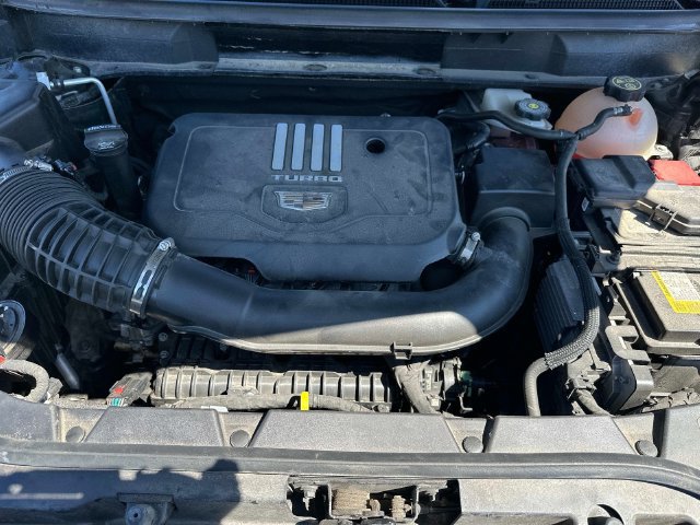 Certified 2023 Cadillac XT5 Premium Luxury AWD/4WD image 12