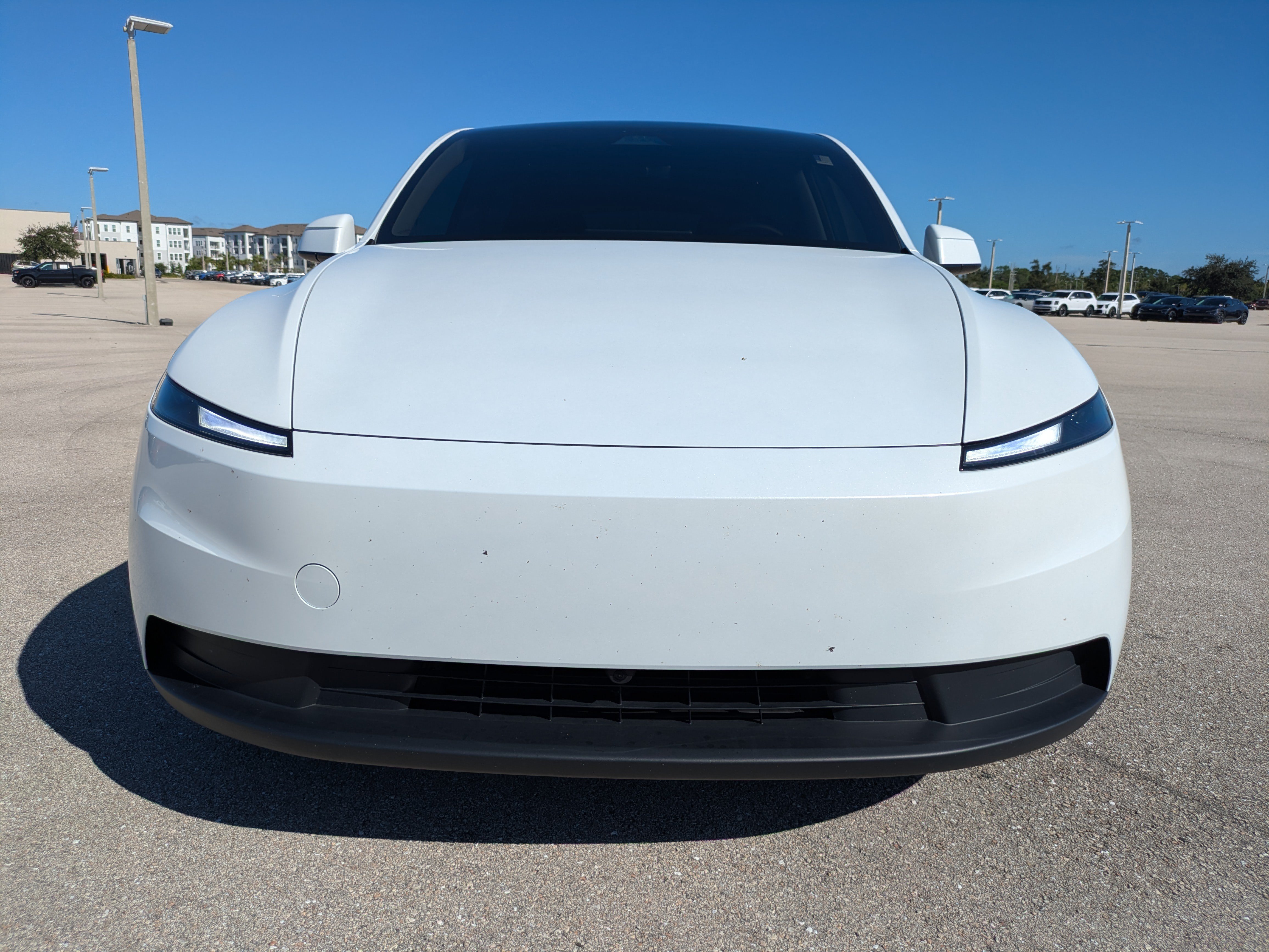 Used 2026 Tesla Model Y Long Range RWD image 9