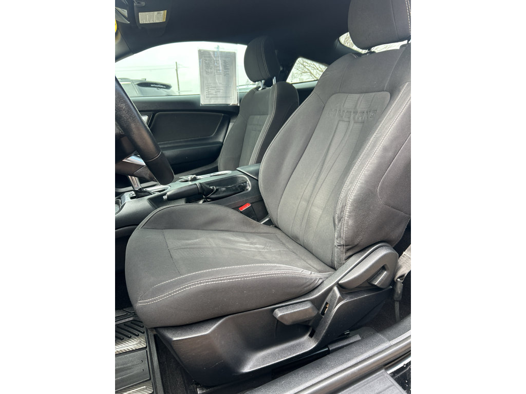 Used 2019 Ford Mustang Coupe w/ Ecoboost Performance Package RWD image 27