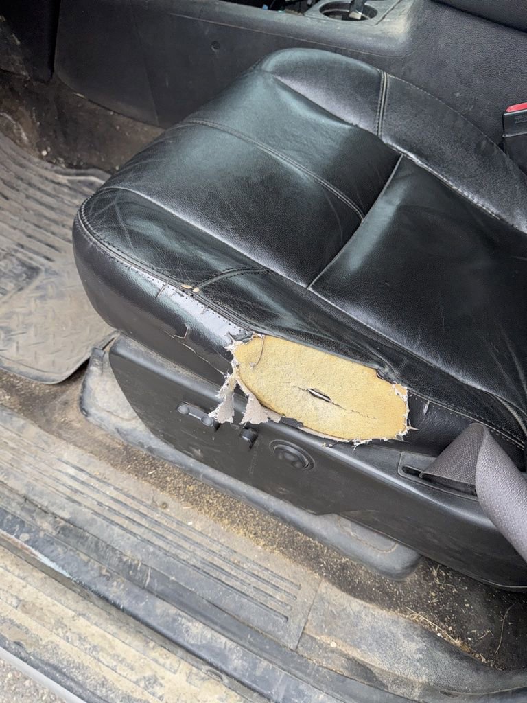 Used 2009 Chevrolet Silverado 2500 LTZ w/ Suspension Package, Off-Road image 10