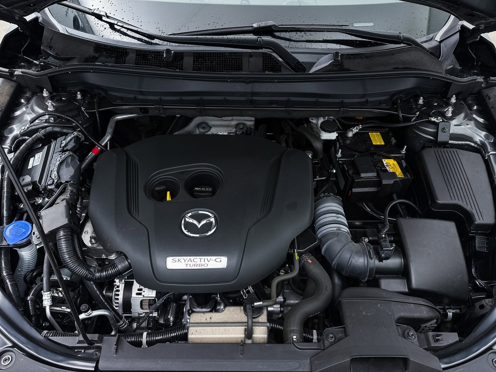 Certified 2025 MAZDA CX-5 Signature image 3