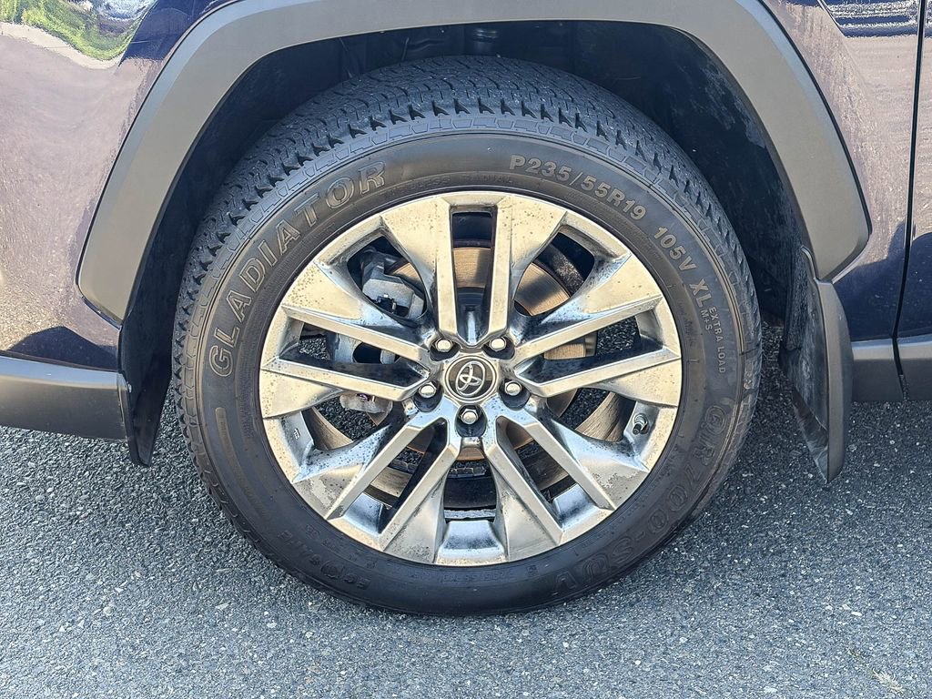 Used 2019 Toyota RAV4 Limited w/ All Weather Liner Package image 13