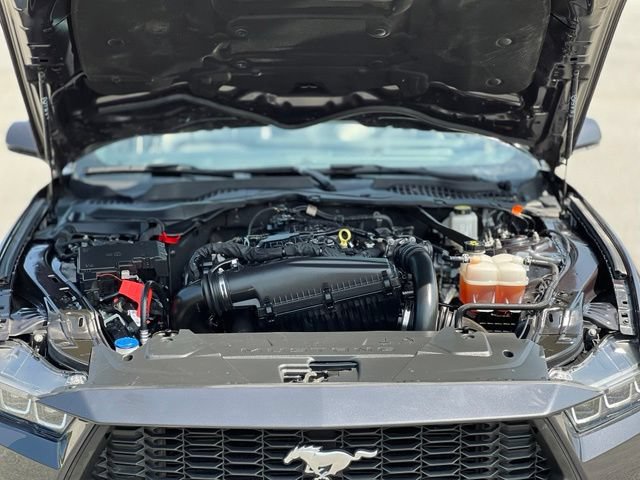 Used 2024 Ford Mustang Premium RWD image 52