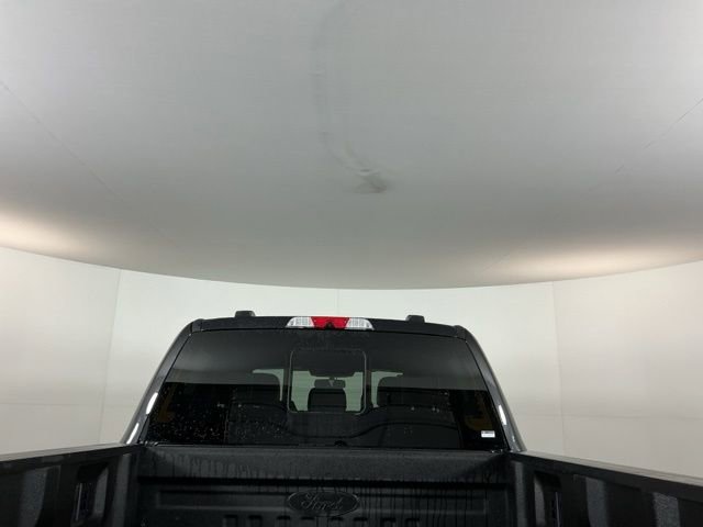 Certified 2025 Ford F450 Platinum w/ FX4 Off-Road Package image 10