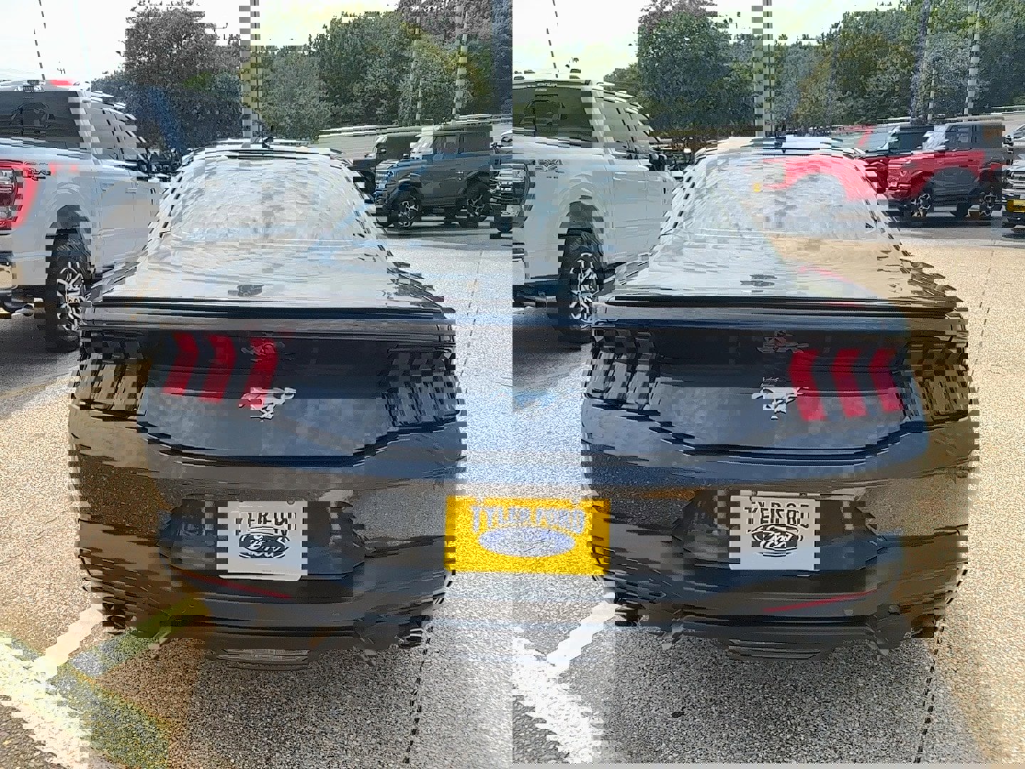 Used 2024 Ford Mustang Premium w/ Wheel & Stripe Package image 8