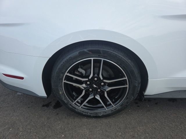 Used 2023 Ford Mustang Premium RWD image 6