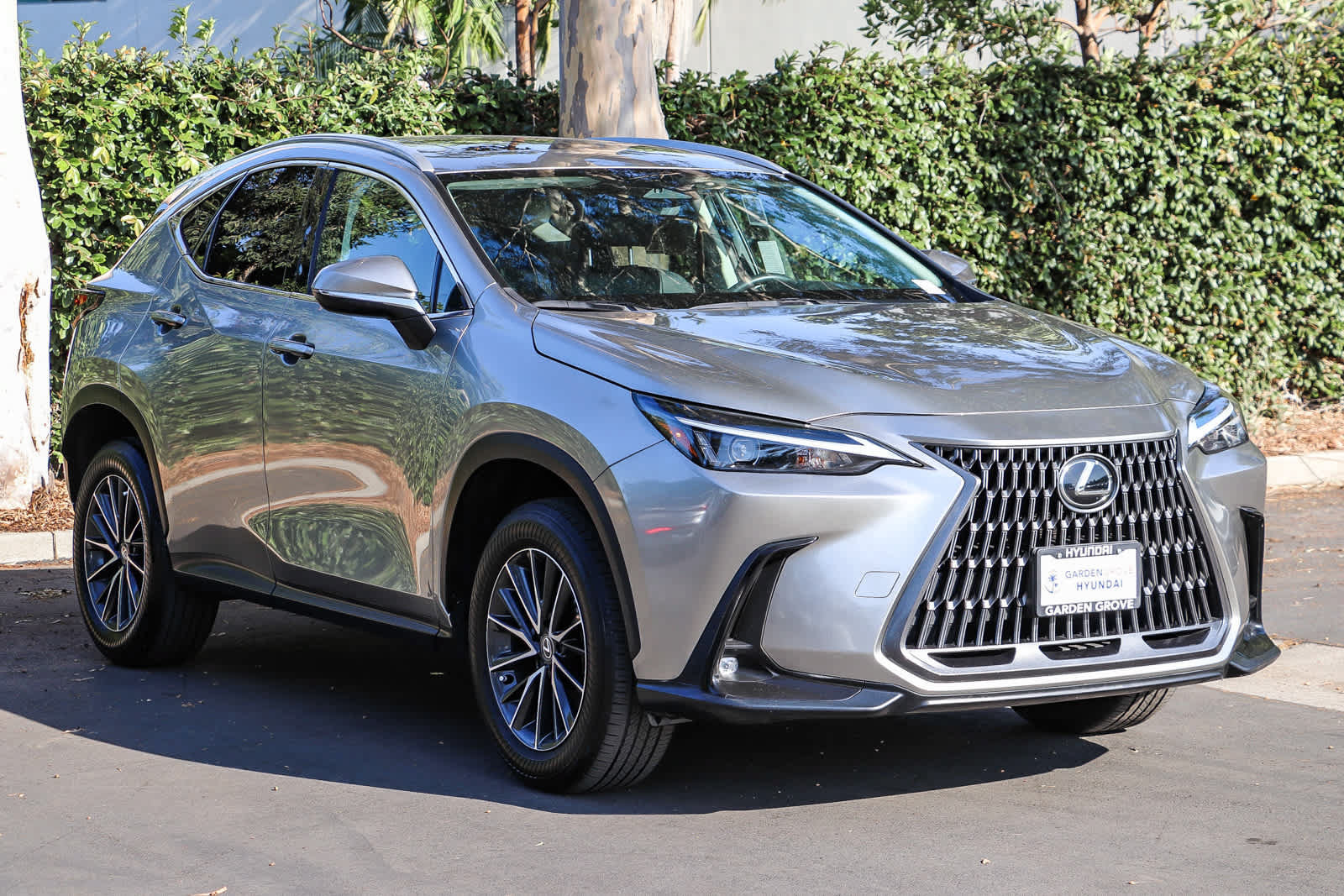 Used 2024 Lexus NX 250 FWD image 3