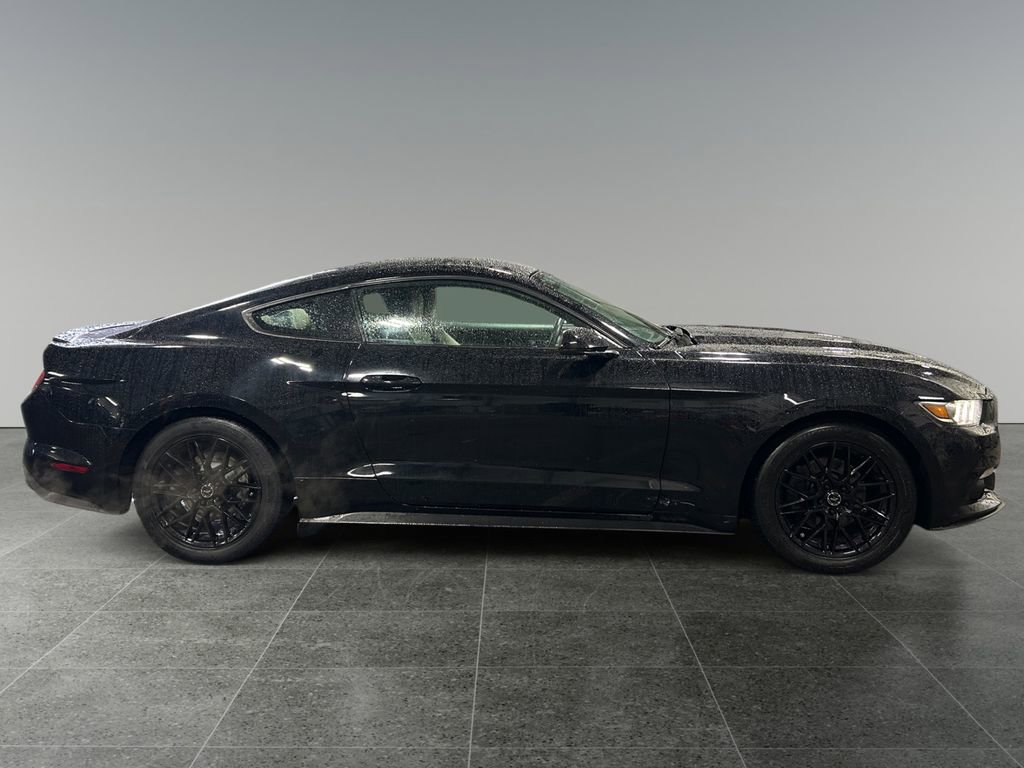 Used 2015 Ford Mustang Premium w/ Equipment Group 201A RWD image 8