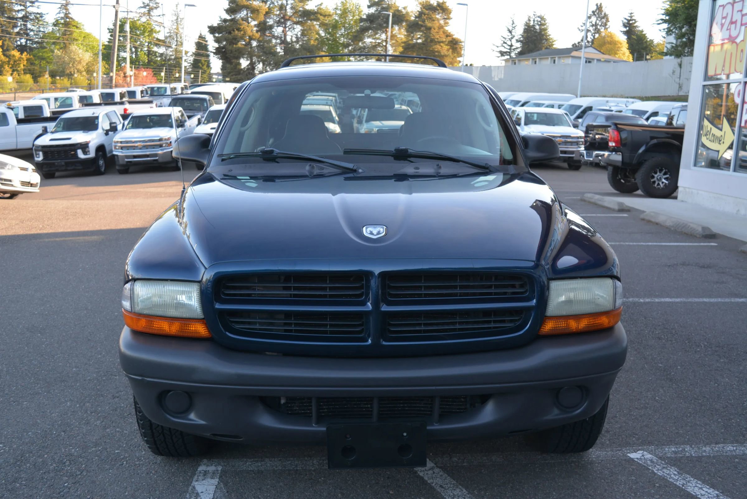 Used 2003 Dodge Durango Sport image 2