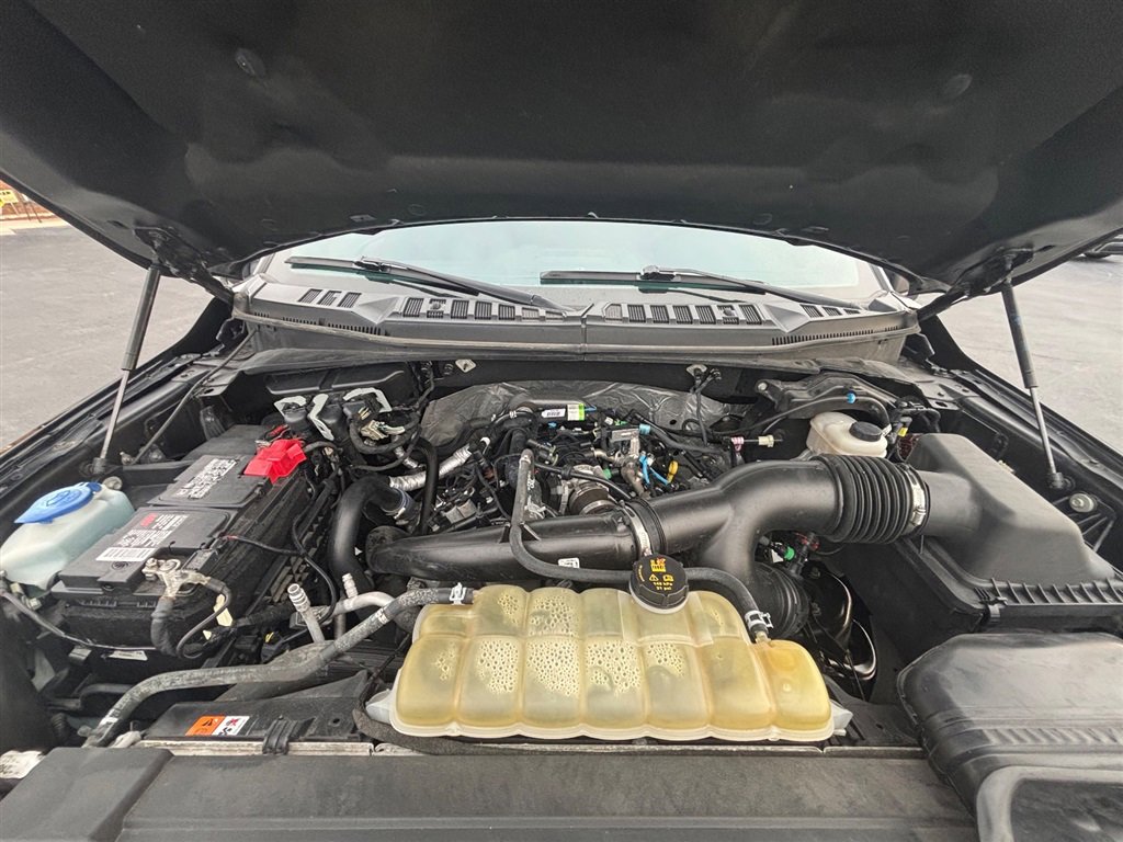 Used 2019 Ford F150 XLT w/ Equipment Group 302A Luxury image 24