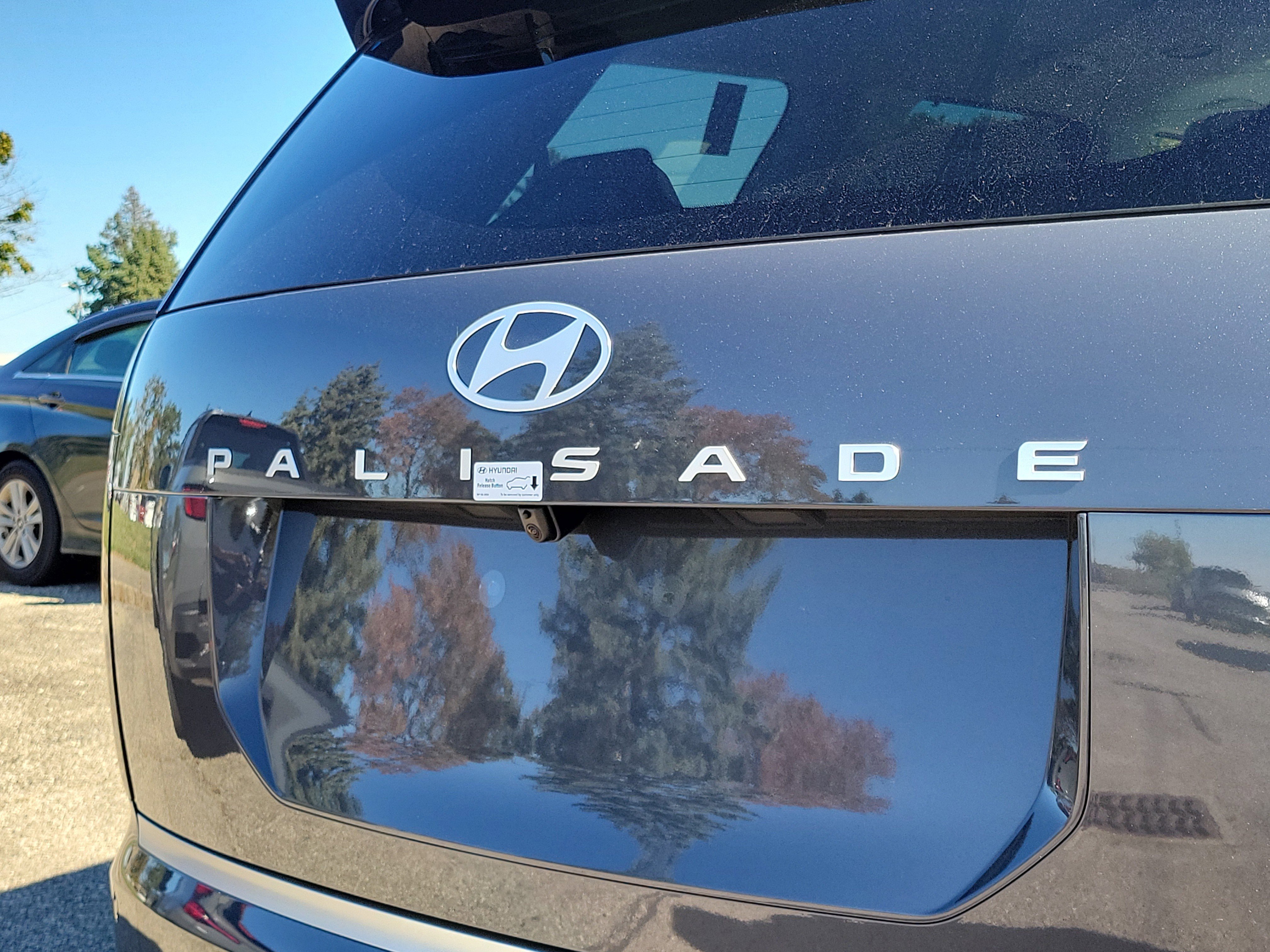 New 2026 Hyundai Palisade Calligraphy image 6