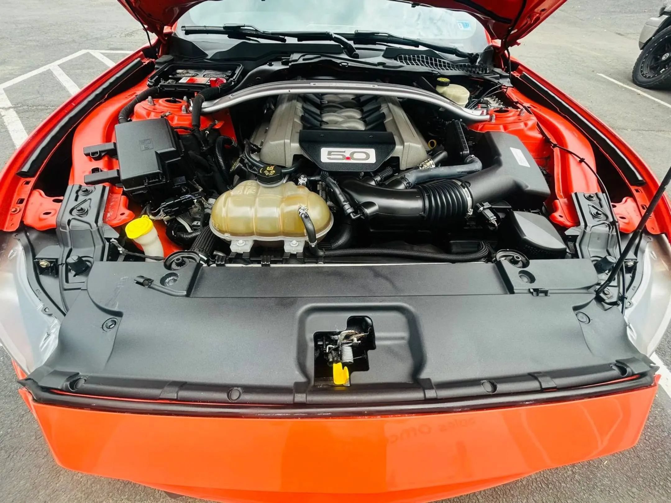 Used 2016 Ford Mustang GT Premium RWD image 16