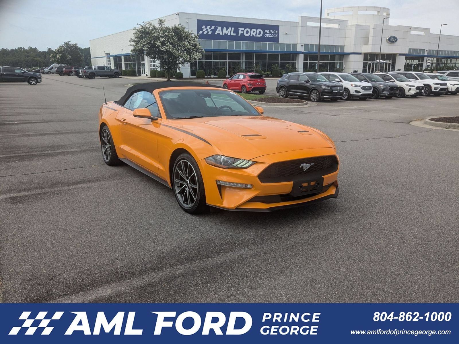 Used 2019 Ford Mustang Premium w/ Equipment Group 201A