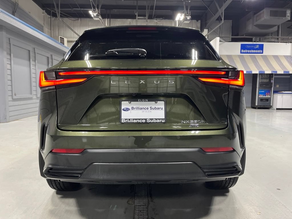 Used 2024 Lexus NX 350h AWD w/ Cold Area Package image 6