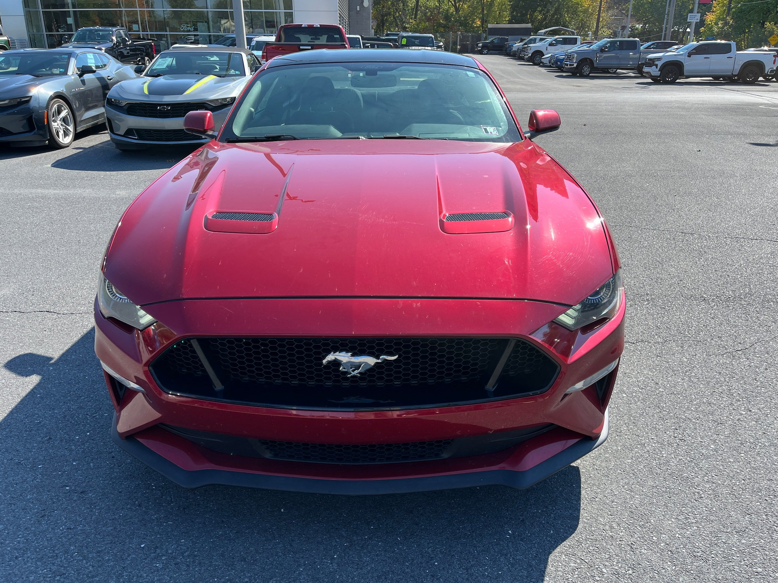 Used 2020 Ford Mustang GT w/ Equipment Group 301A RWD image 3