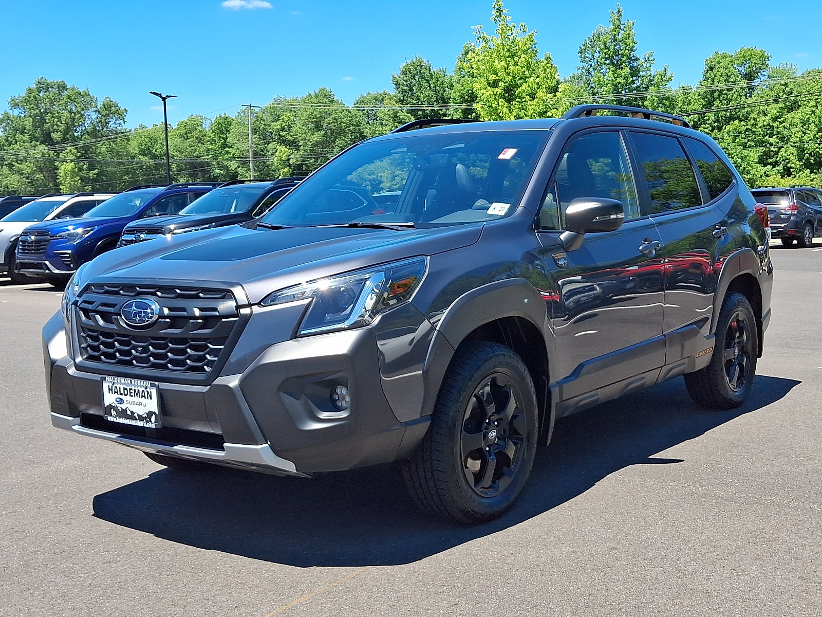 Used 2022 Subaru Forester Wilderness AWD/4WD image 3