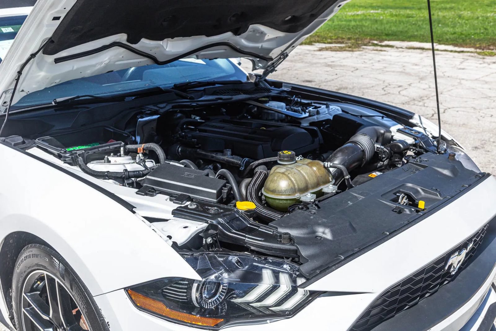 Used 2018 Ford Mustang Premium RWD image 73