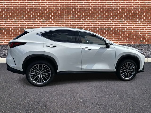 Used 2022 Lexus NX 350 AWD image 6