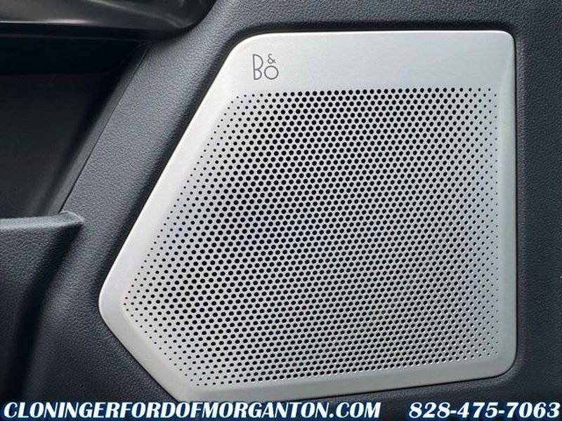 New 2026 Ford F250 Platinum w/ Tremor Off-Road Package image 21