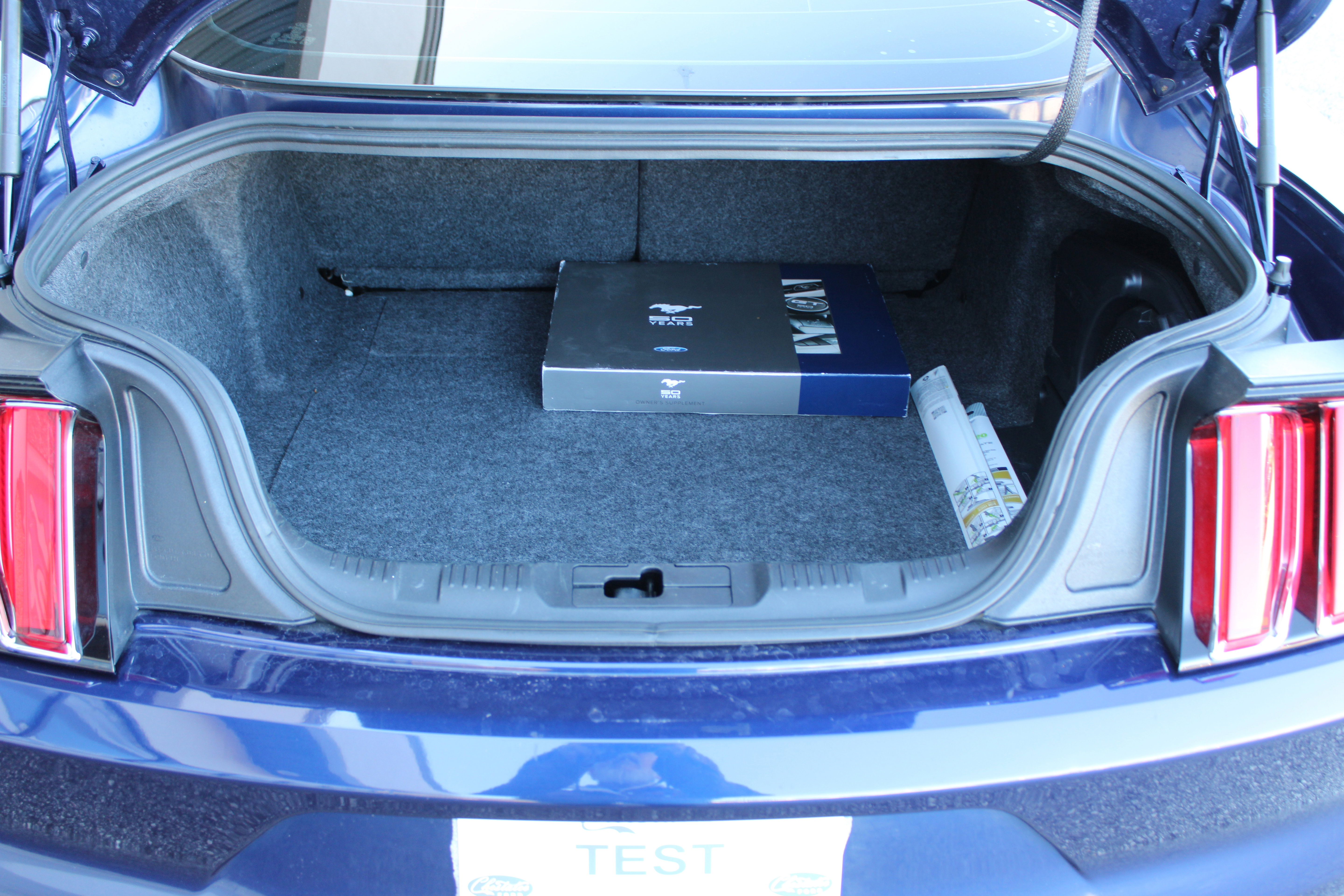 Used 2015 Ford Mustang 50 Years image 9